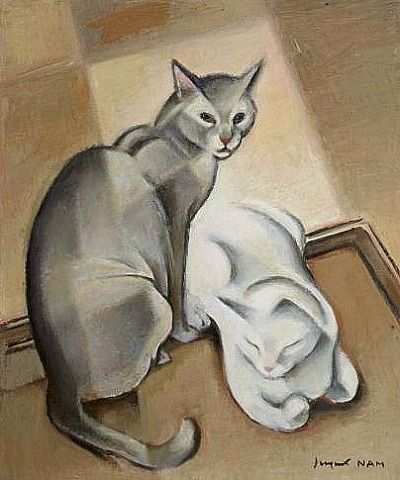 Gato gris y gato blanco