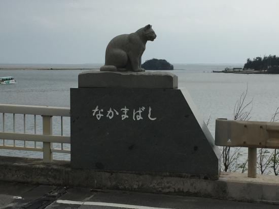 Otra estatua dedicada al gato iriomote